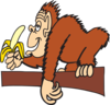 Ape With A Banana Clip Art